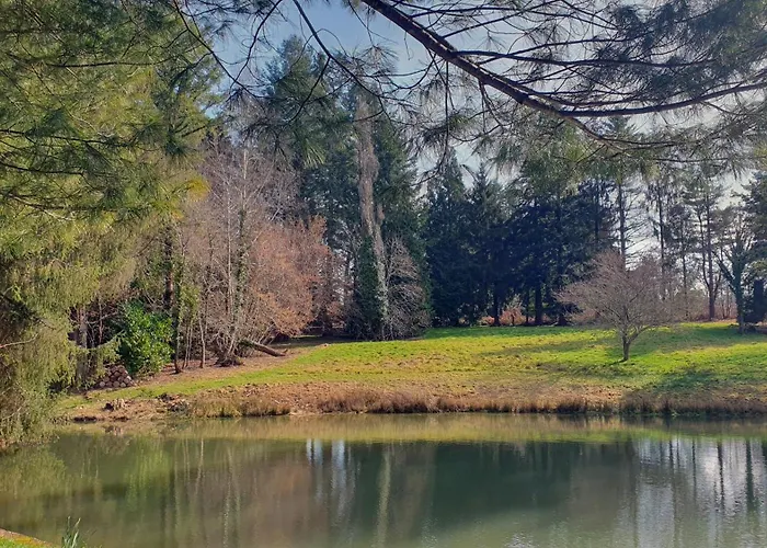 Maison De L'olivier * Champniers-et-Reilhac